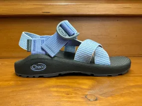 Chaco Mega Z Cloud Pucker Hydrangea JCH109722Z